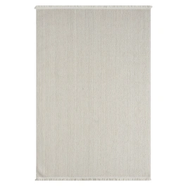 Teppich » Ava«, BxL: 160 x 230 cm, Polyester