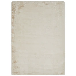 Teppich »Loano«, BxL: 120 x 170 cm, Polyester