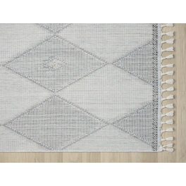 Teppich » Luana 2«, BxL: 200 x 290 cm, Polyester