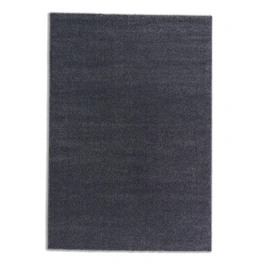 Teppich »Pure«, BxL: 67 x 130 cm, rechteckig, Polypropylen (PP)