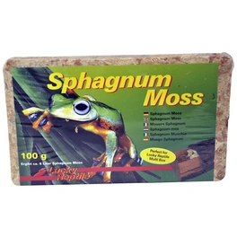 Terrarienmoos, 100 g, Terrarienmoos Sphagnum Moss Ziegel