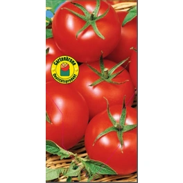 Tomate esculentum var. esculentum Lycopersicon »Harzfeuer«