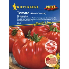 Tomaten »Gigantomo«, 8 Korn