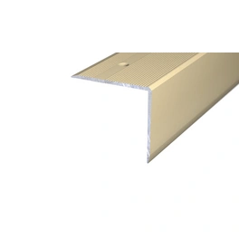 Treppenkantenprofil, BxH: 45 x 40 mm, versenkt gelocht