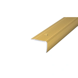 Treppenkantenprofil »NOVA«, BxH: 30 x 20 mm, versenkt gelocht