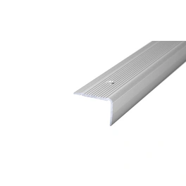 Treppenkantenprofil »NOVA«, BxH: 30 x 20 mm, versenkt gelocht