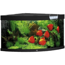 Trigon 350 LED Aquarium