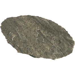 Trittplatte, ØxH: 25-40 x 2,5-3,5 cm, Quarzit, graugrün