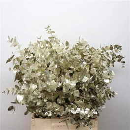 Trockenblumen, Bund Eucalyptus, Cinerea Metal Gold, 70 cm