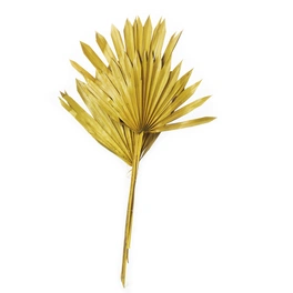 Trockenblumen »Palmsun«