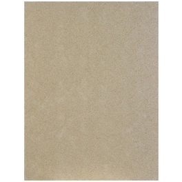 Vermiculiteplatte, BxHxL: 600 x 30 x 800 mm, beige
