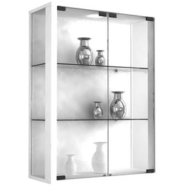 Vitrine »Udina«, mit LED-Beleuchtung, BxH: 60 x 80 cm, Holzwerkstoff/Glas