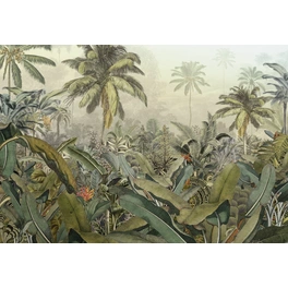 Vliestapete »Amazonia«, Breite: 368 cm, inkl. Kleister