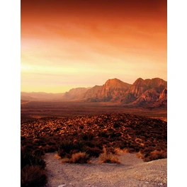 Vliestapete »Dune DD«, Wüste, Landschaft, orange/rot