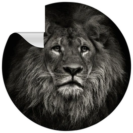 Vliestapete »Lion«, Tiermotiv, Löwe, grau/weiß, matt