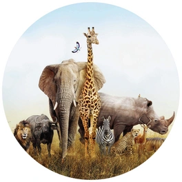 Vliestapete »Runde Vliestapete«, Afrika Tiere Safari Waldtiere, mehrfarbig, matt