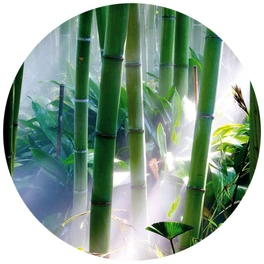Vliestapete »Runde Vliestapete«, Bambus Wald Feng Shui Deko, mehrfarbig, matt
