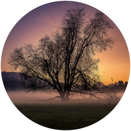Vliestapete »Runde Vliestapete«, Cuadrado Nebel Baum des Lebens, mehrfarbig, matt