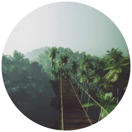 Vliestapete »Runde Vliestapete«, Hängebrücke Dschungel grüne, mehrfarbig, matt