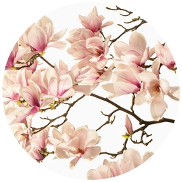 Vliestapete »Runde Vliestapete«, Kadam Rosa Knospen Magnolia, mehrfarbig, matt