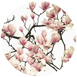 Vliestapete »Runde Vliestapete«, Kadam Rosa Magnoliae, mehrfarbig, matt