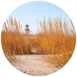 Vliestapete »Runde Vliestapete«, Leuchtturm Strand Schilf, mehrfarbig, matt