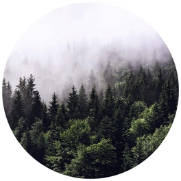 Vliestapete »Runde Vliestapete«, Nebel Wald Tannenwald, mehrfarbig, matt