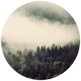 Vliestapete »Runde Vliestapete«, Nebel Wald Tannenwald Natur, mehrfarbig, matt