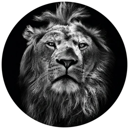 Vliestapete »Runde Vliestapete«, Safari König Löwe Waldtiere Tiere, mehrfarbig, matt