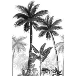 Vliestapete »Smart Art Easy«, Dschungel, Palmen, schwarz/weiß