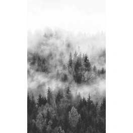Vliestapete »Smart Art Easy«, Wald, Nebel, grau