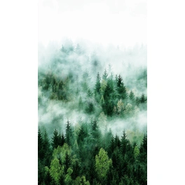 Vliestapete »Smart Art Easy«, Wald, Nebel, grün