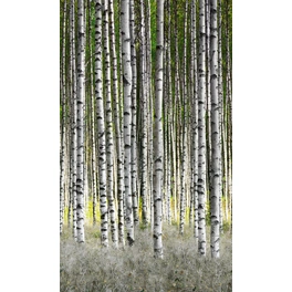 Vliestapete »Smart Art Easy«, Wald, weiß/grün