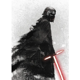 Vliestapete »Star Wars Kylo Vader Shadow«, bunt, glatt