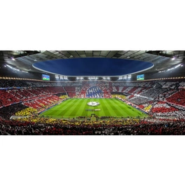 Vliestapete »XXL Vliestapete«, FC Bayern München Verein, mehrfarbig, matt
