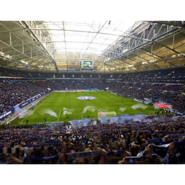Vliestapete »XXL Vliestapete«, FC Schalke 04 Fußballfan, mehrfarbig, matt