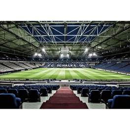 Vliestapete »XXL Vliestapete«, FC Schalke 04 Veltins Stadion, mehrfarbig, matt