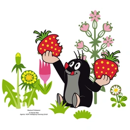 Wandtattoo »Der kleine Maulwurf: Erdbeere«, selbstklebend