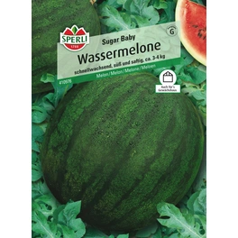 Wassermelone »Sugar Baby«, schnellwachsend, süß und saftig