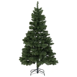 Weihnachtsbaum »Oxford Kiefer «, Höhe: 210 cm, grün