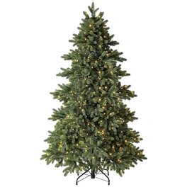 Weihnachtsbaum »Roswell Kiefer «, Höhe: 150 cm, grün, beleuchtet