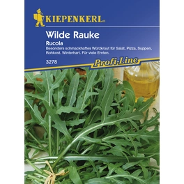 Wilde Rauke, Diplotaxis tenuifolia, Inhalt reicht für ca. 100 Pflanzen