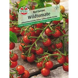 Wildtomate »Red Currant«, Johannisbeertomate, Höhe bis 3 m, Fruchtgewicht ca. 10 g