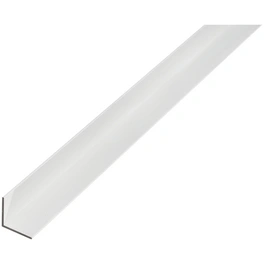 Winkelprofil, BxHxL: 1 x 1 x 200cm, Aluminium
