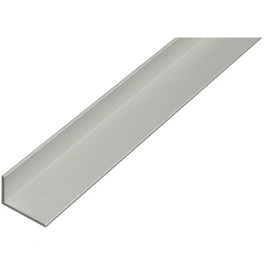 Winkelprofil, BxHxL: 1.5 x 1 x 100cm, Aluminium