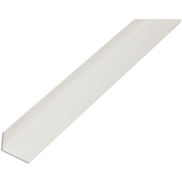 Winkelprofil, BxHxL: 3 x 2 x 100cm, Hart-PVC (PVC-U)