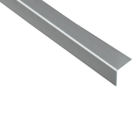Winkelprofil Kunststoff silber 2600 x 30 x 30 x 1,5 mm