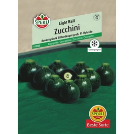 Zucchini »Eight Ball«, frühe Sorte, buschiger Wuchs, ideal zum Füllen