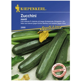 Zucchini pepo Cucurbita