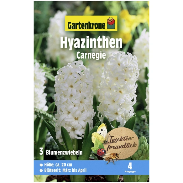 Gartenkrone Blumenzwiebeln Hyazinthe Hyacinthus Orientalis Carnegie Blutenfarbe Weiss Hagebau De